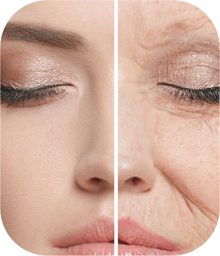 Anti Ageing