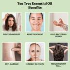 Tea Tree Essential Oil 30ml - Alif Naturals