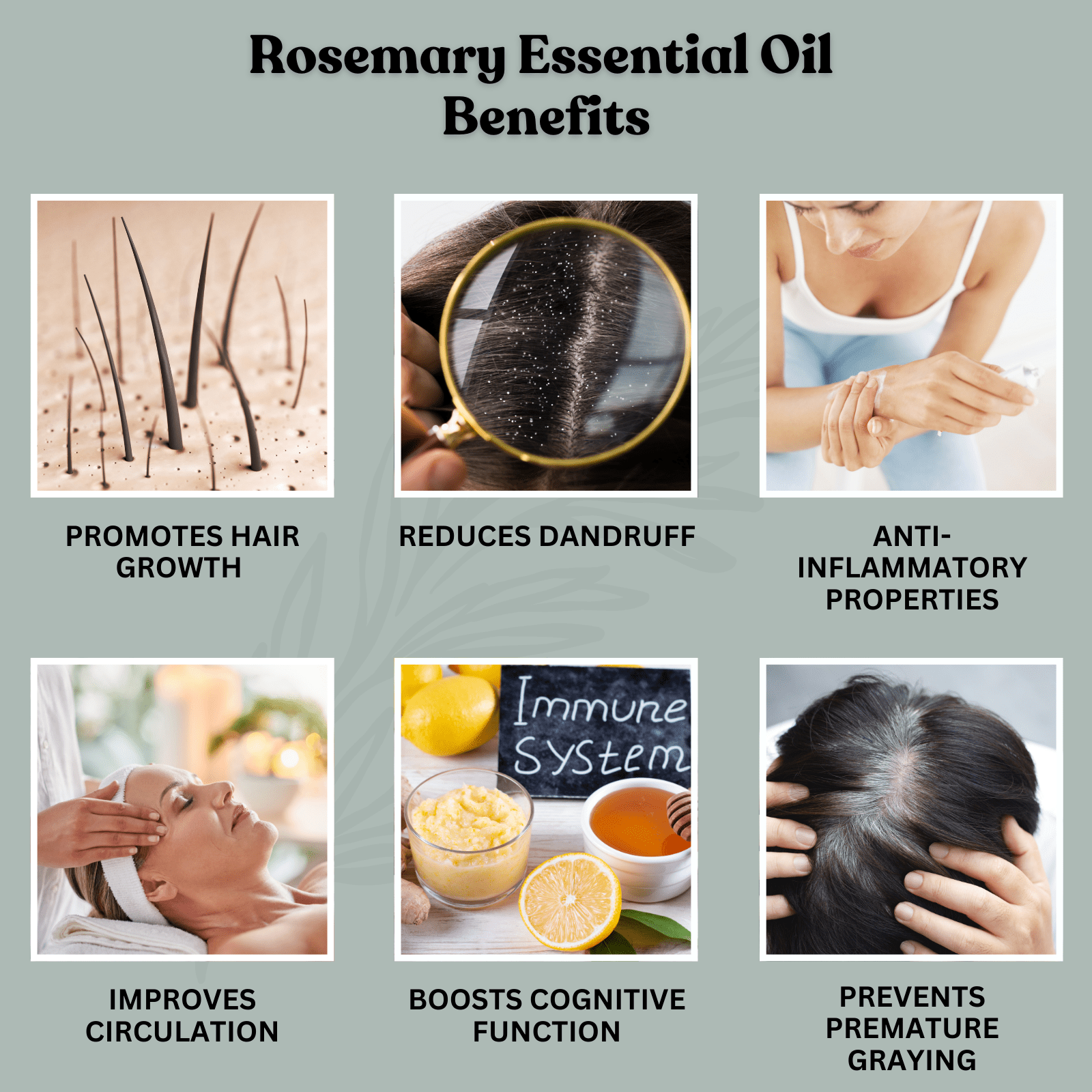Rosemary Essential Oil 30ml - Alif Naturals