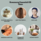 Rosemary Essential Oil 30ml - Alif Naturals