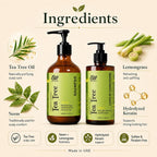 ALIF Naturals Tea Tree shampoo and leave-in conditioner ingredients infographic